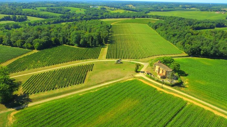 La campagne gersoise en été aux environs de Cazaubon, avec vignes, champs, forêts, et une petite église